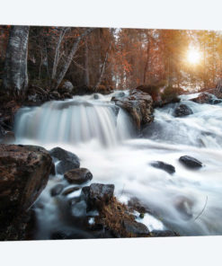 Nature I