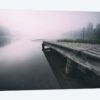 Nature II
