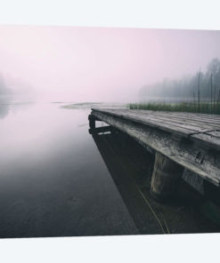 Nature II