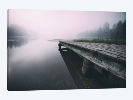 Nature II