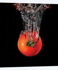 Splash