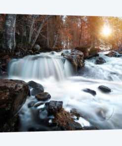 Autumn River