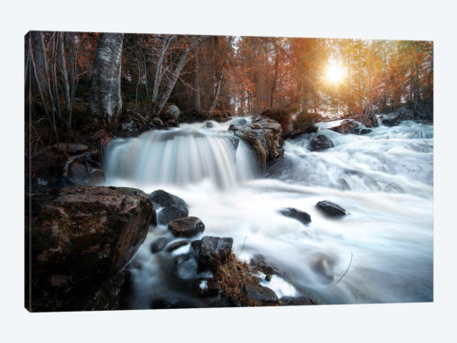 Autumn River
