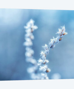 Cold And Sharp