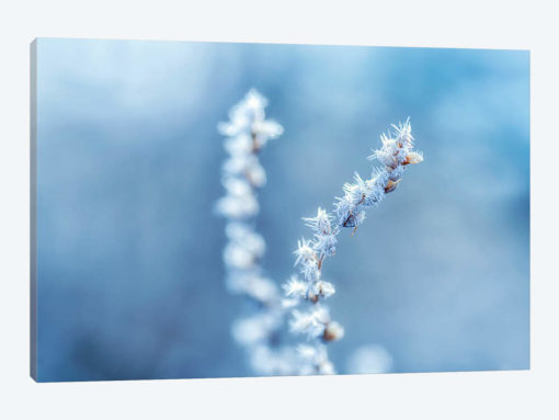 Cold And Sharp