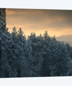 End Of Winter