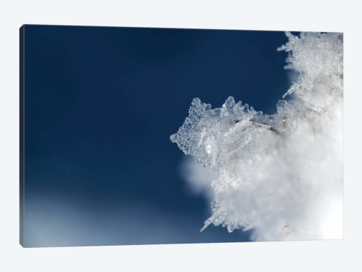 Ice Crystal