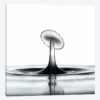 Liquid Dish