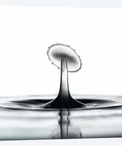 Liquid Dish