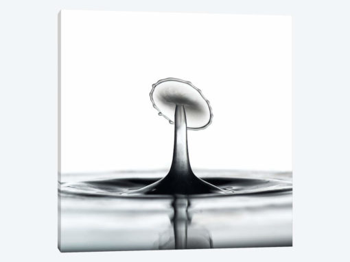 Liquid Dish