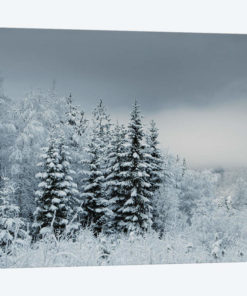 Snowy Sweden