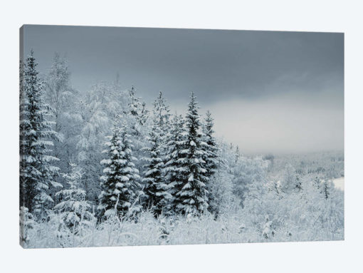 Snowy Sweden