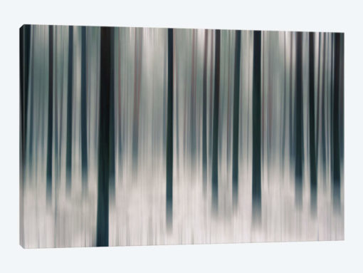 Forest In Motion