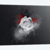 White Rose