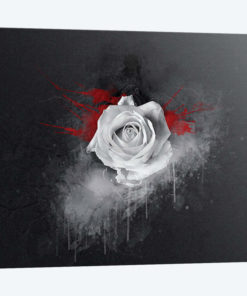 White Rose