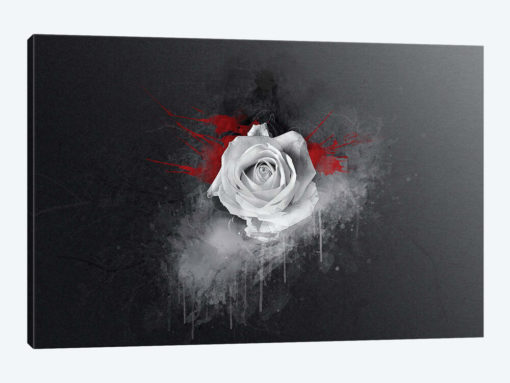 White Rose
