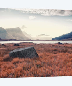 Arctic Autumn