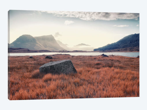 Arctic Autumn