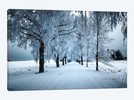 Frozen Avenue