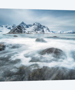 Arctic Motion