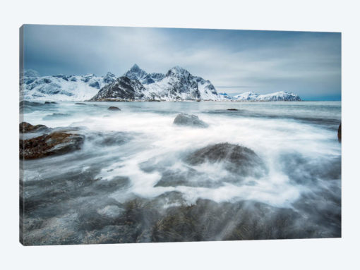 Arctic Motion