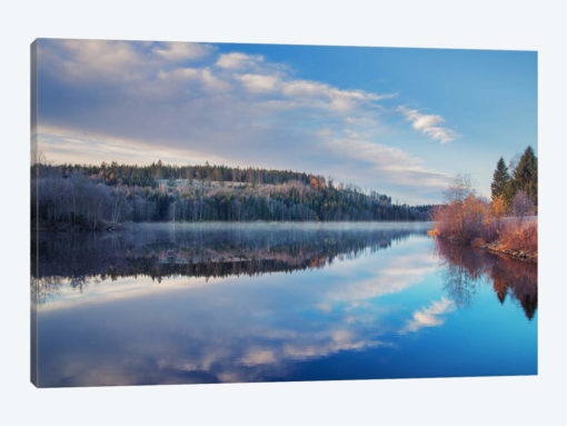Late Fall