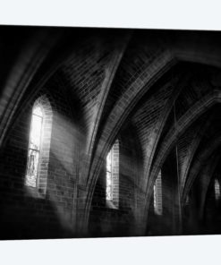 Beams Of Light