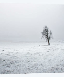 Silence