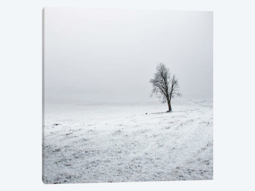 Silence