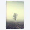 Solitude