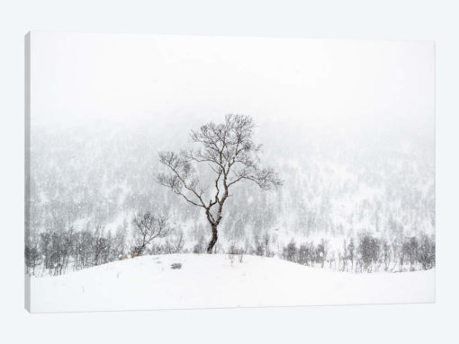 Standing Alone