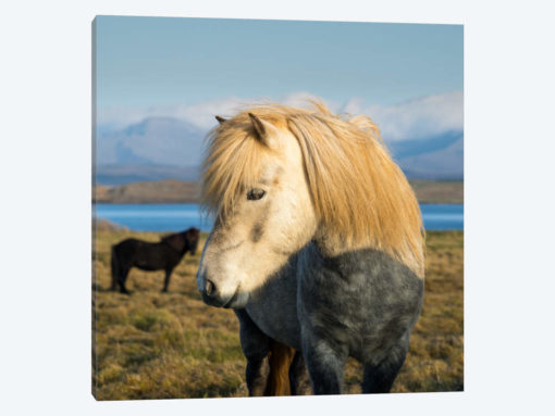 When In Iceland