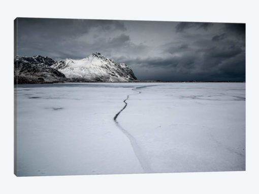 Lofoten Frozen