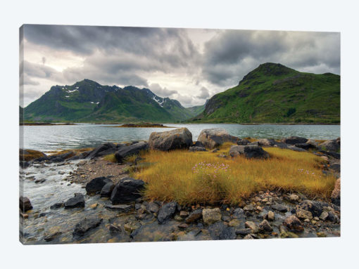 Lofoten Grass