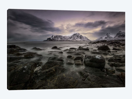Lofoten Shore