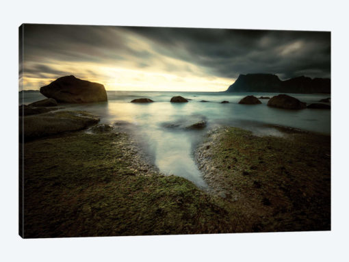 Lofoten Tide Pool