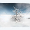 Winter Tree