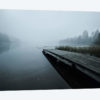 Fog