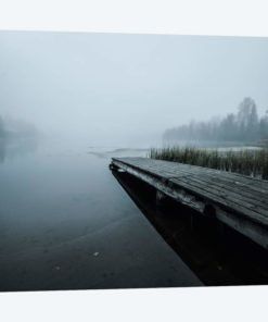 Fog
