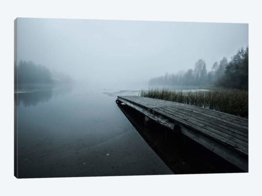 Fog