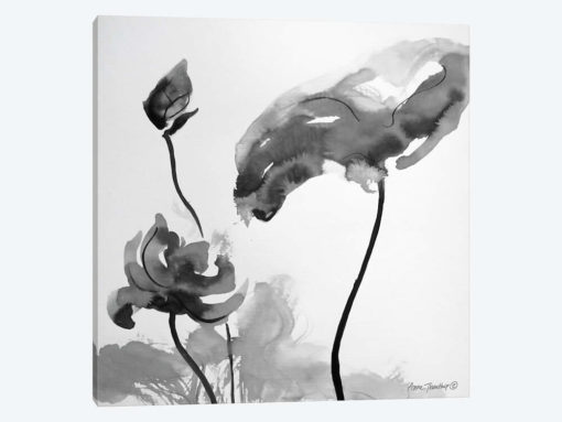 Lotus Flowers II