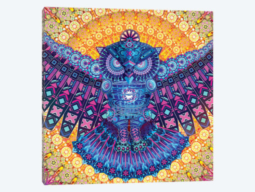 Bright Owl