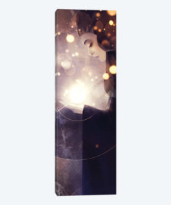 Illuminate