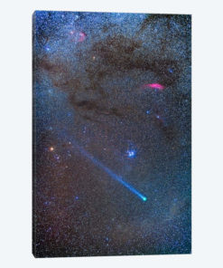 Comet Lovejoy's Long Ion Tail In Taurus