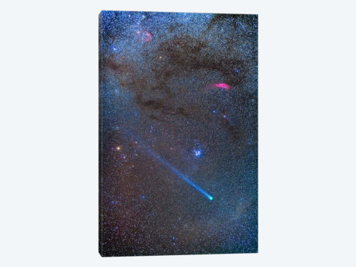 Comet Lovejoy's Long Ion Tail In Taurus
