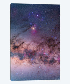 Scorpius With Parts Of Lupus And Ara Regions Of The Southern Milky Way