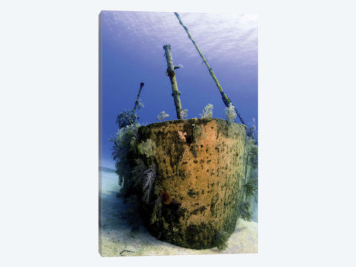 Bow Of The Oro Verde Wreck, Grand Cayman