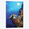 Hawksbill Sea Turtle And Gray Angelfish By Coral Reef