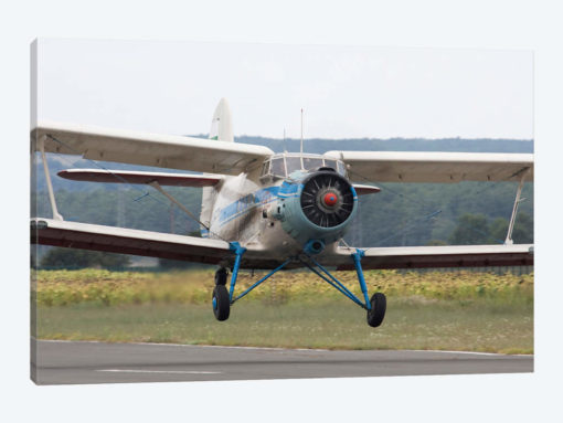 An Antonov An-2 Taking Off From An Airfield In Bulgaria