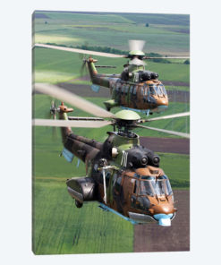 Pair Of Bulgarian Air Force Eurocopter AS532 AL Cougar Helicopters
